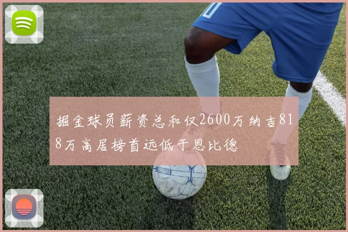 掘金球员薪资总和仅2600万纳吉818万高居榜首远低于恩比德