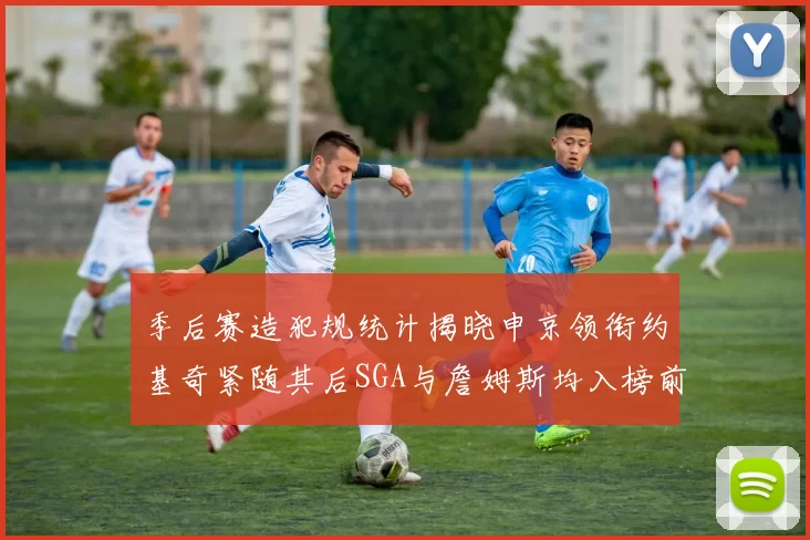 季后赛造犯规统计揭晓申京领衔约基奇紧随其后SGA与詹姆斯均入榜前十