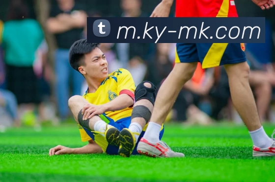 MK体育平台生态图