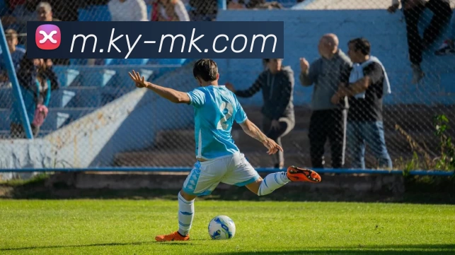 MK体育APP 封面图